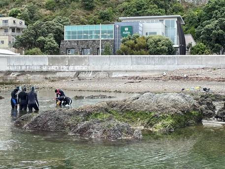 students working from coastal ecology lab