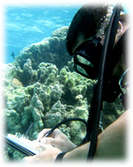 Jeff Shima - underwater surveys